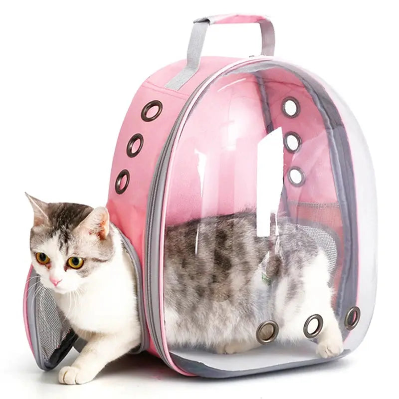 Pet Capsule Carrier Backpack TailTalker.com