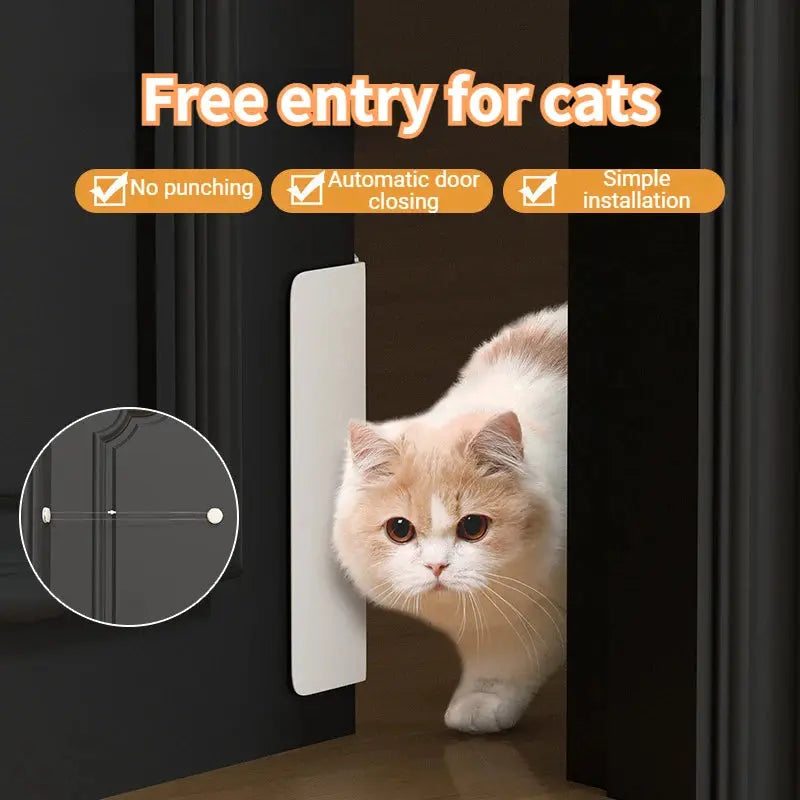 Cat Door Buddy: Easy Access Latch TailTalker.com