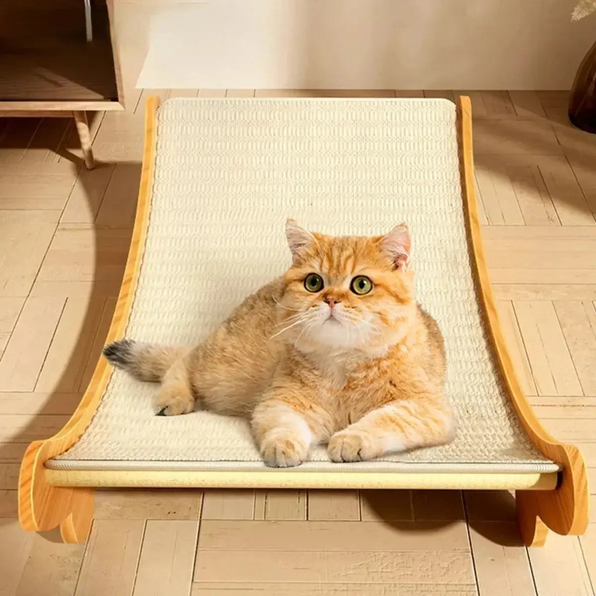 Wooden Cat Scratching Recliner - TailTalker.com